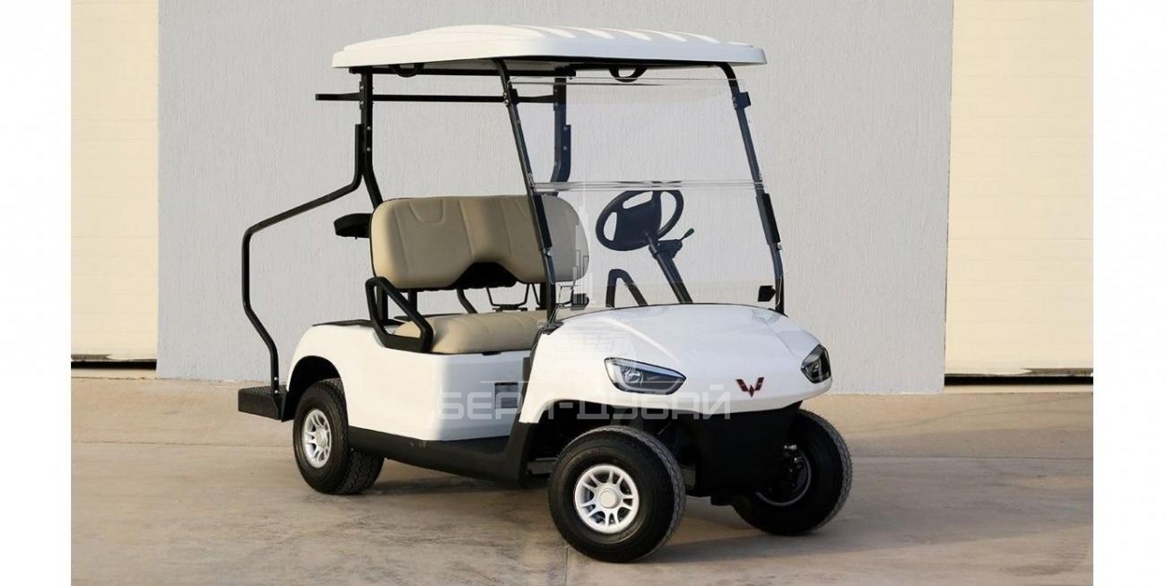 Golf Buggy Wuling Golf Car -2 Seater | Export